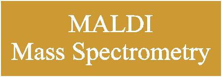 MALDI Massaspektrometrie