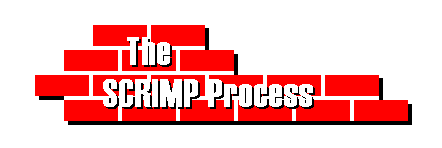 Die SCRIMP Proses