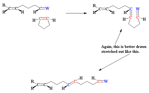 Double bond metathesis