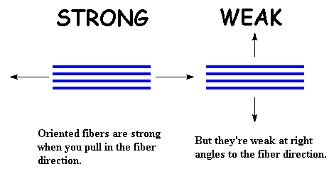 fibers pulled in each direction