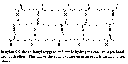 three nylon chains have many hydrogen bond bridges between them