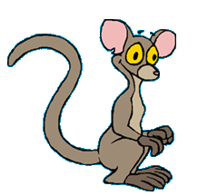 Monomer Mouse Lemur