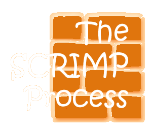 The SCRIMP Process
