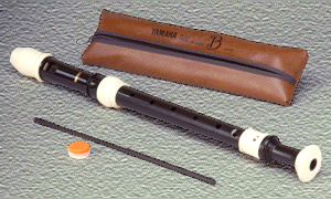 A modern recorder made from ABS resin