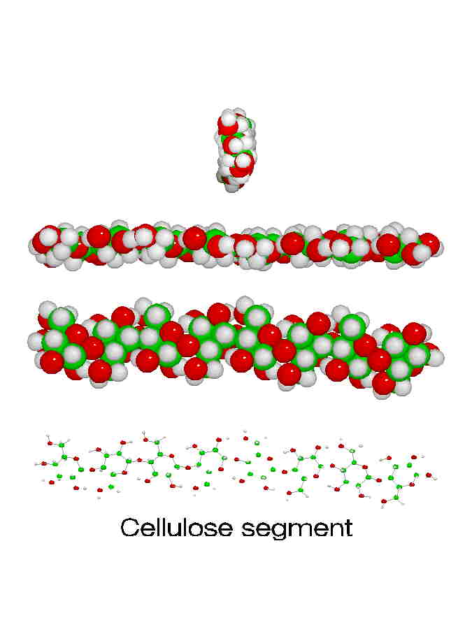four views of cellulose chains