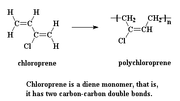 the chloroprene monomer and the polychloroprene repeat unit